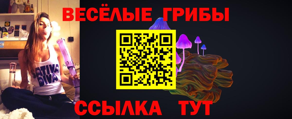 Кемерово  как найти   Вход с VPN  Галлюциногенные грибы MAGIC MUSHROOMS 